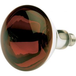 BULBS INCANDESCENT R40 250W
