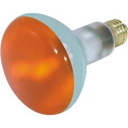 BULBS FLOOD 75W/130V AMBER