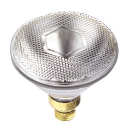 BULBS 39PAR38/SPOT OUTDOOR