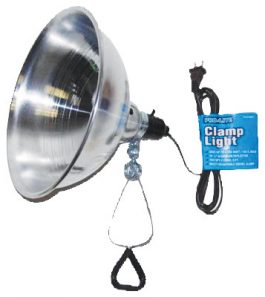 CLAMP LIGHT 8" SHADE