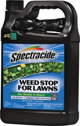 WEED&GRASS KILLER SPECTRACIDE