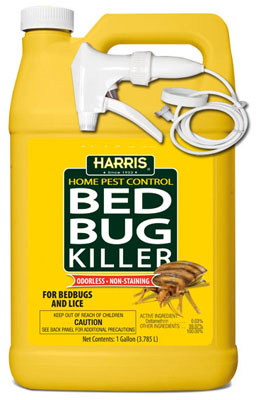 BED BUG KILLER GAL RTU