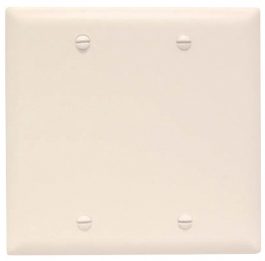 PLATE 2GANG BLANK IVORY