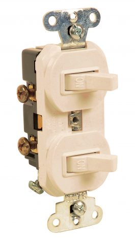 SWITCH 2GANG IVORY #271V