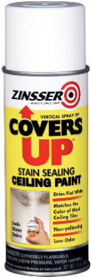 CEILING TILE SPRAY PAINT WHITE