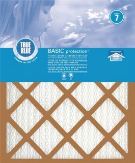 AIR FILTER PLEATED 20X30X1