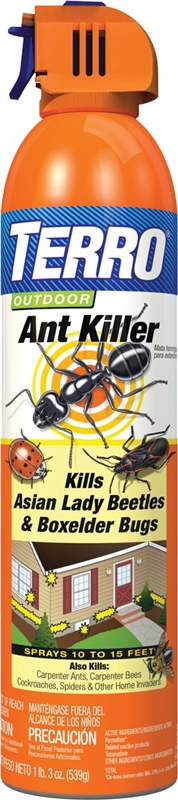 ANT KILLER SPRAY TERRO 19 OZ