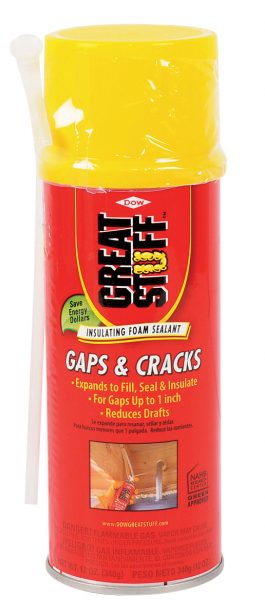 FOAM INSULATION FILLER 20/OZ.