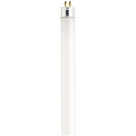 BULBS FLOUR F8T5WW