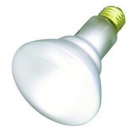 BULB 30R20 30W/130V MED BASE