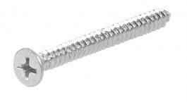 SH METAL SCREW 10X3"