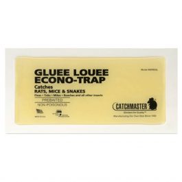 RAT GLUE BOARD 30R PACKED 30