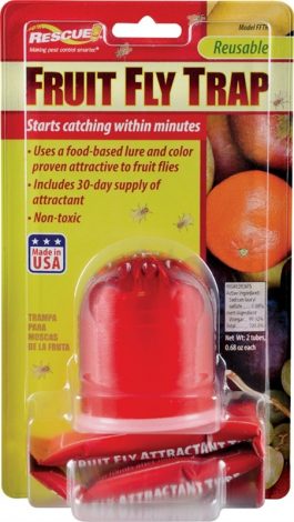 FRUIT FLY TRAP NON-TOXIC