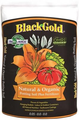 POTTING SOIL 40LB. BLK GOLD