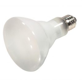 BULBS 45WATT R20 HALOGEN