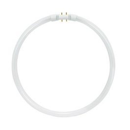 BULBS FLUOR CIRCLINE 40W