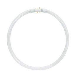 BULBS FLUOR CIRCLINE 40W