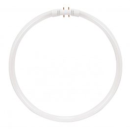 BULBS FLUOR FC55T5 CIRCLINE