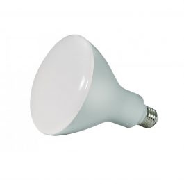 BULBS LED 16.5 BR40 5000K