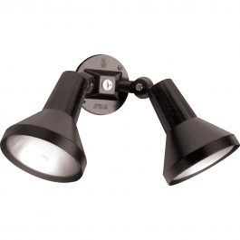 FIXTURE 2LT OUTDOOR FLOOD