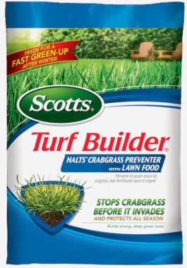 TURF BUILDER PREVENTS CRABGRAS