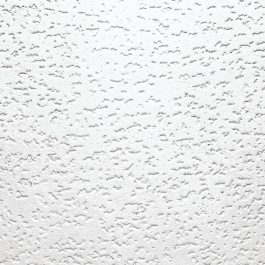 CEILING TILE 1X1 TONGUE AND