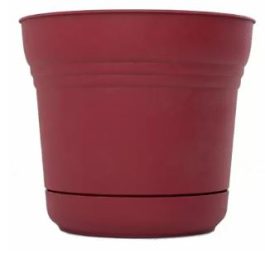 PLANTER 10" PLASTIC W/SAUCER