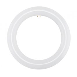 BULB LED FC8T9 8400K