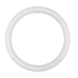 BULB LED FC12T9 8400K