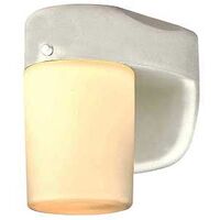 FIXTURE LED ALL PRO  LT WHT.