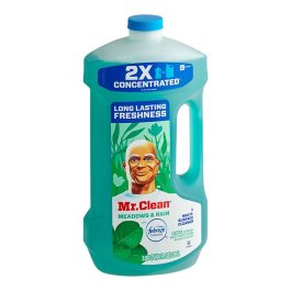 MR CLEAN MULTI-SURFACE 64OZ